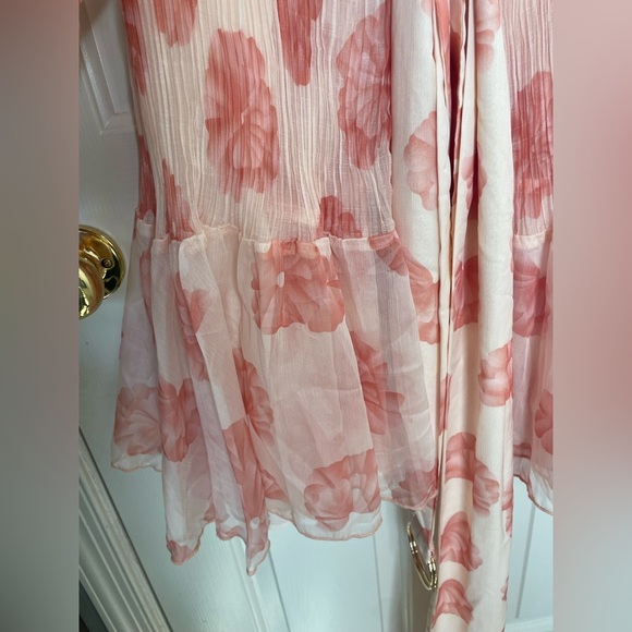 Sante Grace Pink Floral Sheer Pleated Ruffle Mini Dress Size 4X - Picture 7 of 11